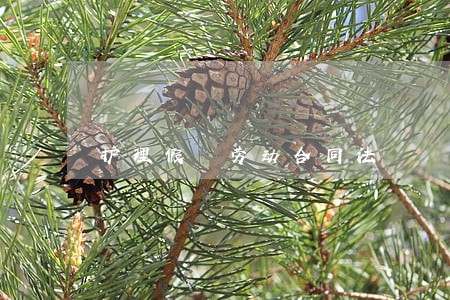 护理假 劳动合同法 护理假 劳动合同法